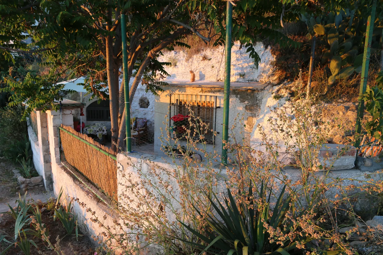 A whitewashed cave home on the Sacromonte hillside, among plants and a fence